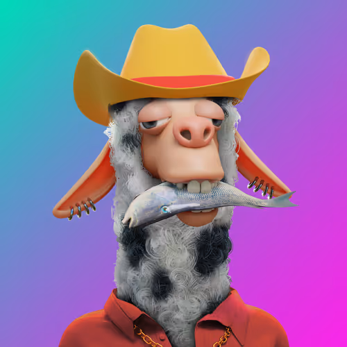 Laid Back Llamas Collection