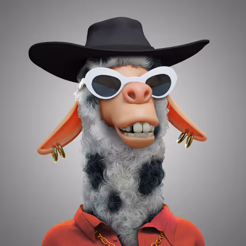 Laid Back Llamas Collection