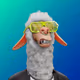 4498