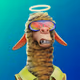 2568