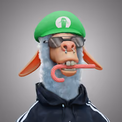 Laid Back Llama #4337