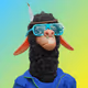 6093