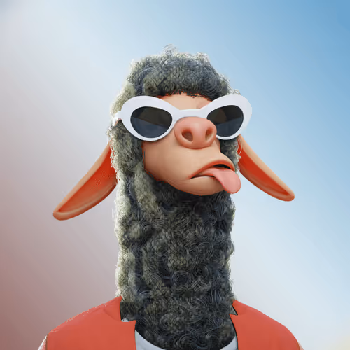 Laid Back Llamas Collection