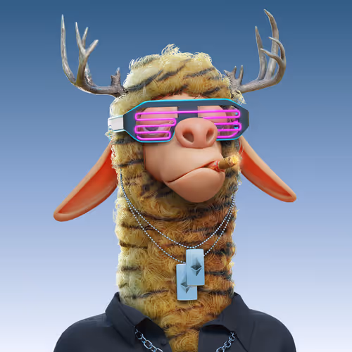 Laid Back Llamas Collection
