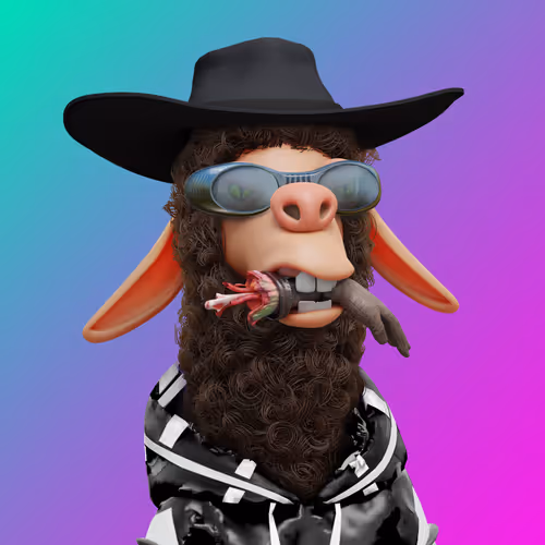 Laid Back Llamas Collection