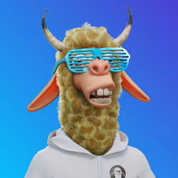 Laid Back Llama #2971