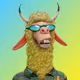 5855