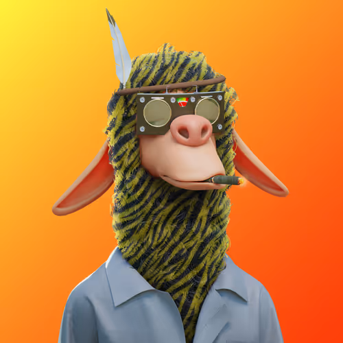 Laid Back Llamas Collection