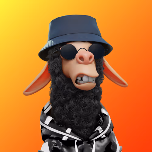 Laid Back Llamas Collection