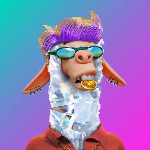Laid Back Llamas Collection