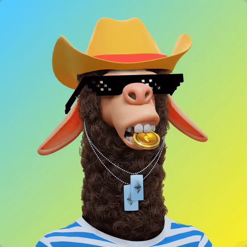 Laid Back Llamas Collection