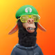 2567