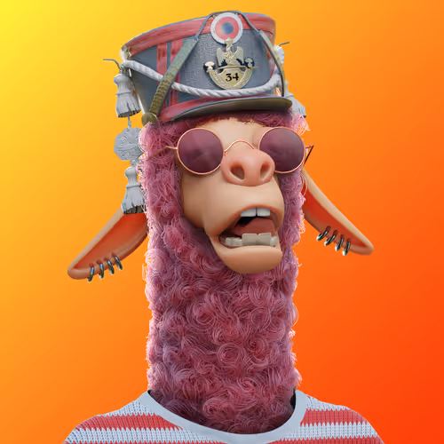 Laid Back Llamas Collection