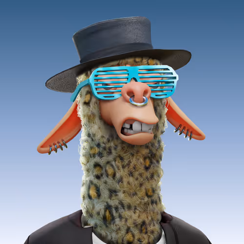 Laid Back Llamas Collection