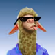 5898