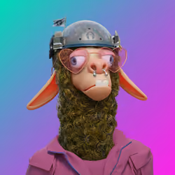 Laid Back Llama #3306