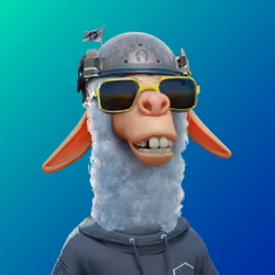 Laid Back Llama #2123