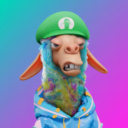 Laid Back Llama #1205