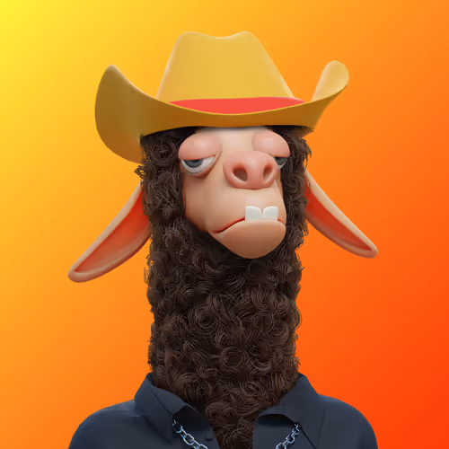 Laid Back Llamas Collection