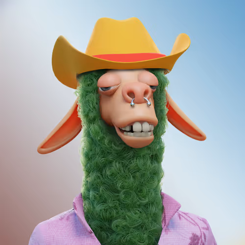 Laid Back Llamas Collection