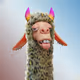 3258