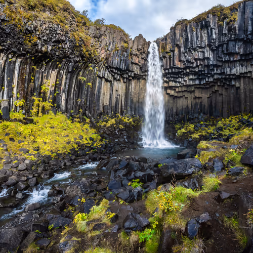 Svartifoss Eternal
