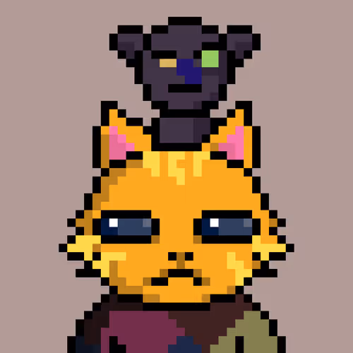 Hypecatz