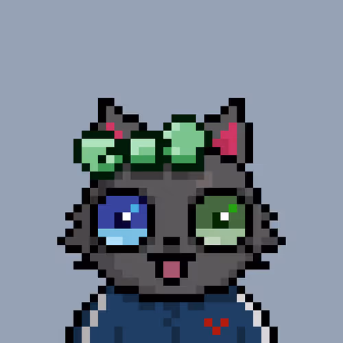 Hypecatz