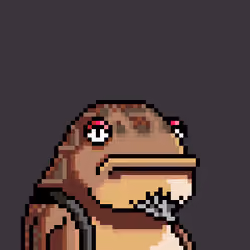 Mad Frogz #2316