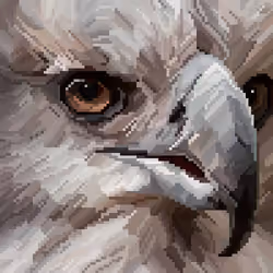 3. Harpy Eagle, Harpia harpyja