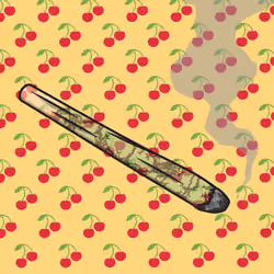 Joint #623