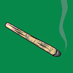 Joint #555