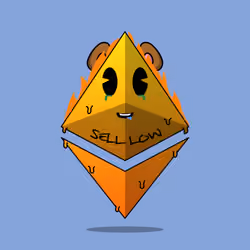 ETH Bodies #242