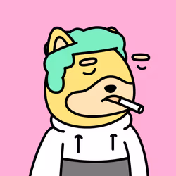 Shiba Doodle #790