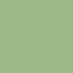 time&_ no. 305