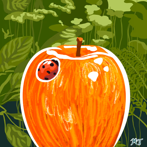 The Awesome Apples