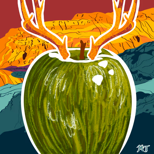 Morgan Tanner Awesome Apples #42
