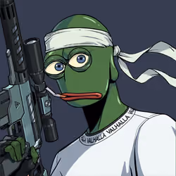 Valhalla Pepe #341