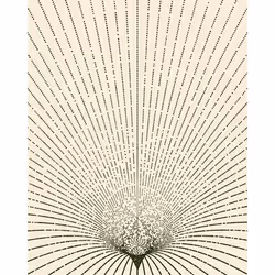 The Shape of Time #19