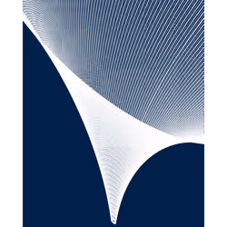 The Shape of Time #110