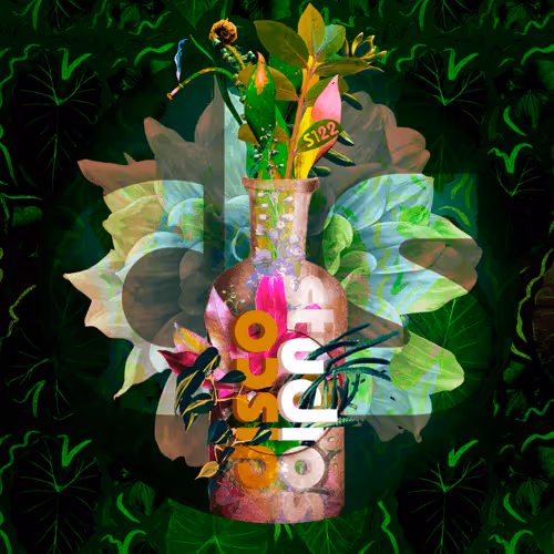 Disco Studios Collector Pass - by Mizzy