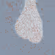 183