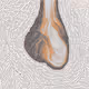 134