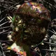 EQUILIBRIUM