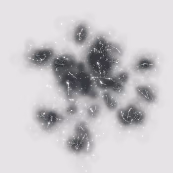 One hundred twenty-seventh Anima