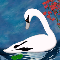 Meka Swans EVO #101