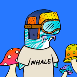 AlphieWhale #1468