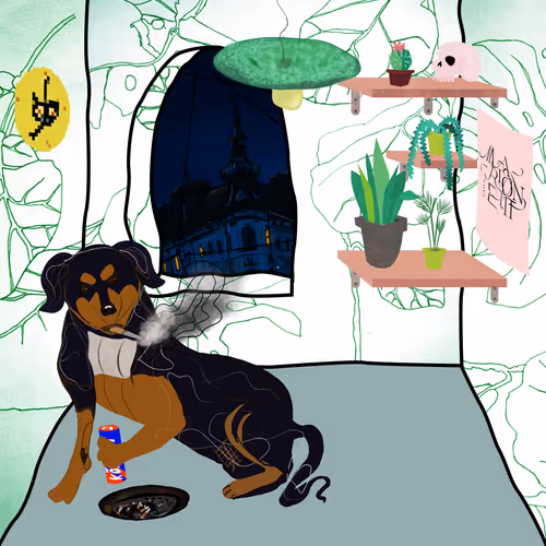 Crypterior #1369