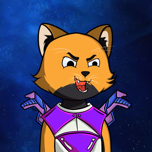 Spacecats  Odyssey