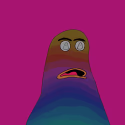 804